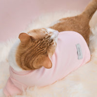 “Spoiled” Mock Neck Shirt - Cupid’s Blush