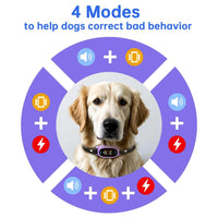 AI Automatic Intelligent Bark Stopper -Dog