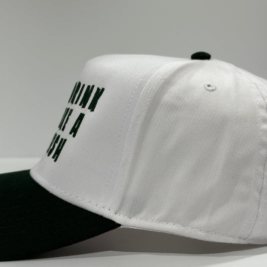 I drink like a fish custom embroidered green/white snapback cap hat