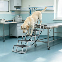 Folding Dog Car Ramp