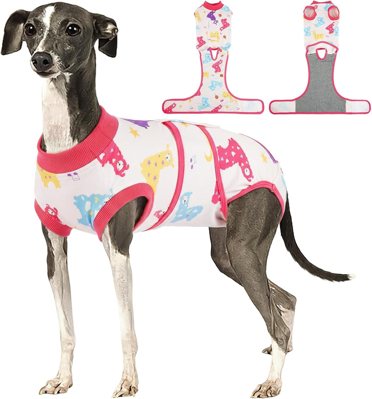 Female Dog Recovery Suit After Spay, XS–2XL