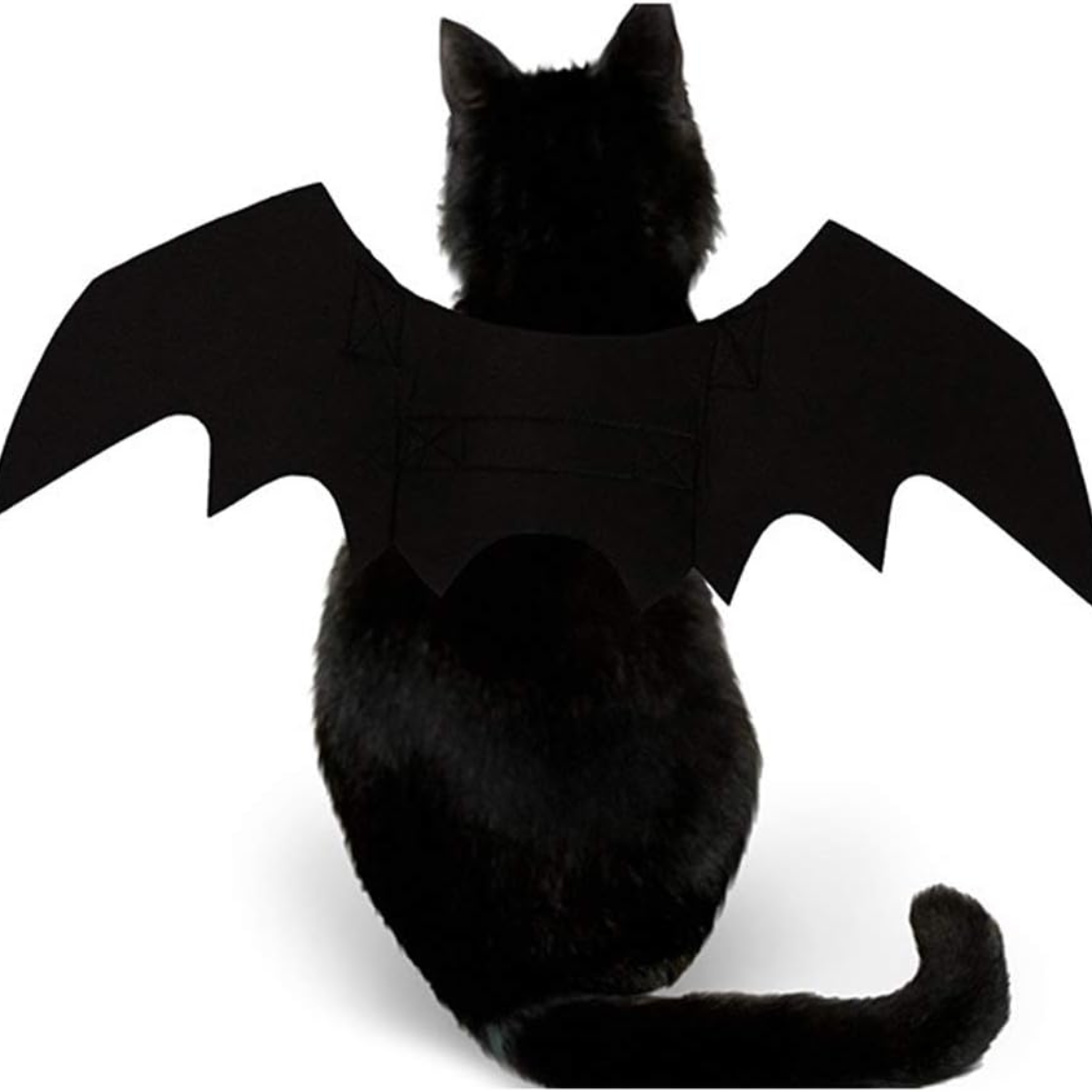 Pet Cat Bat Wings For Halloween Party Decoration, Puppy Collar Leads Cosplay Bat Costume,Cute Puppy Cat Dress Up Accesso