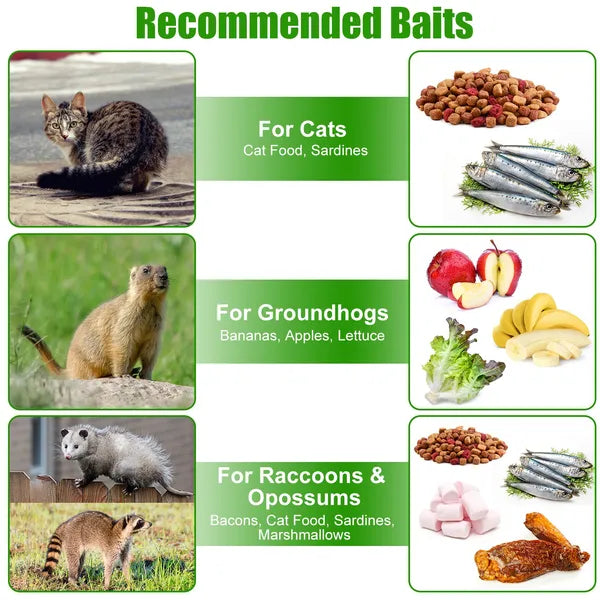 Humane Cat Trap Cage With Gloves Catch Release Live Animal Rodent Cage Collapsible Galvanized Wire For Raccoons Beavers 