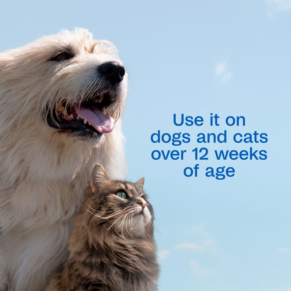 Adams Plus Pyrethrin Dip for Dogs Cats Puppies Kittens 4 oz.
