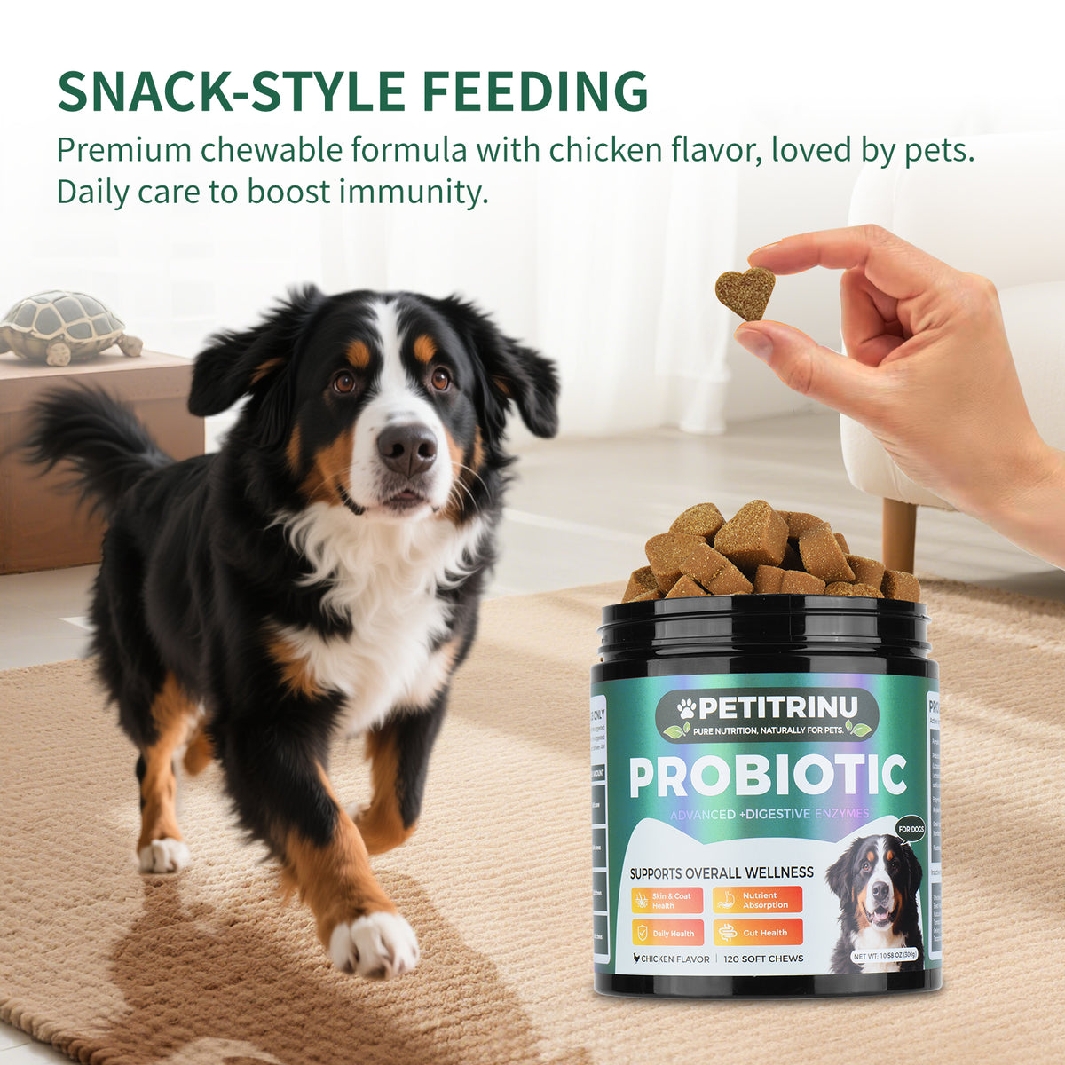 Only Self Pickup---Probiotics For Dogs
