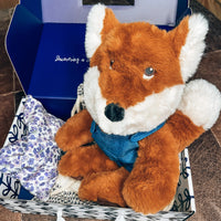 Xander Fox- Copper, Gift Set with Clothing and More!