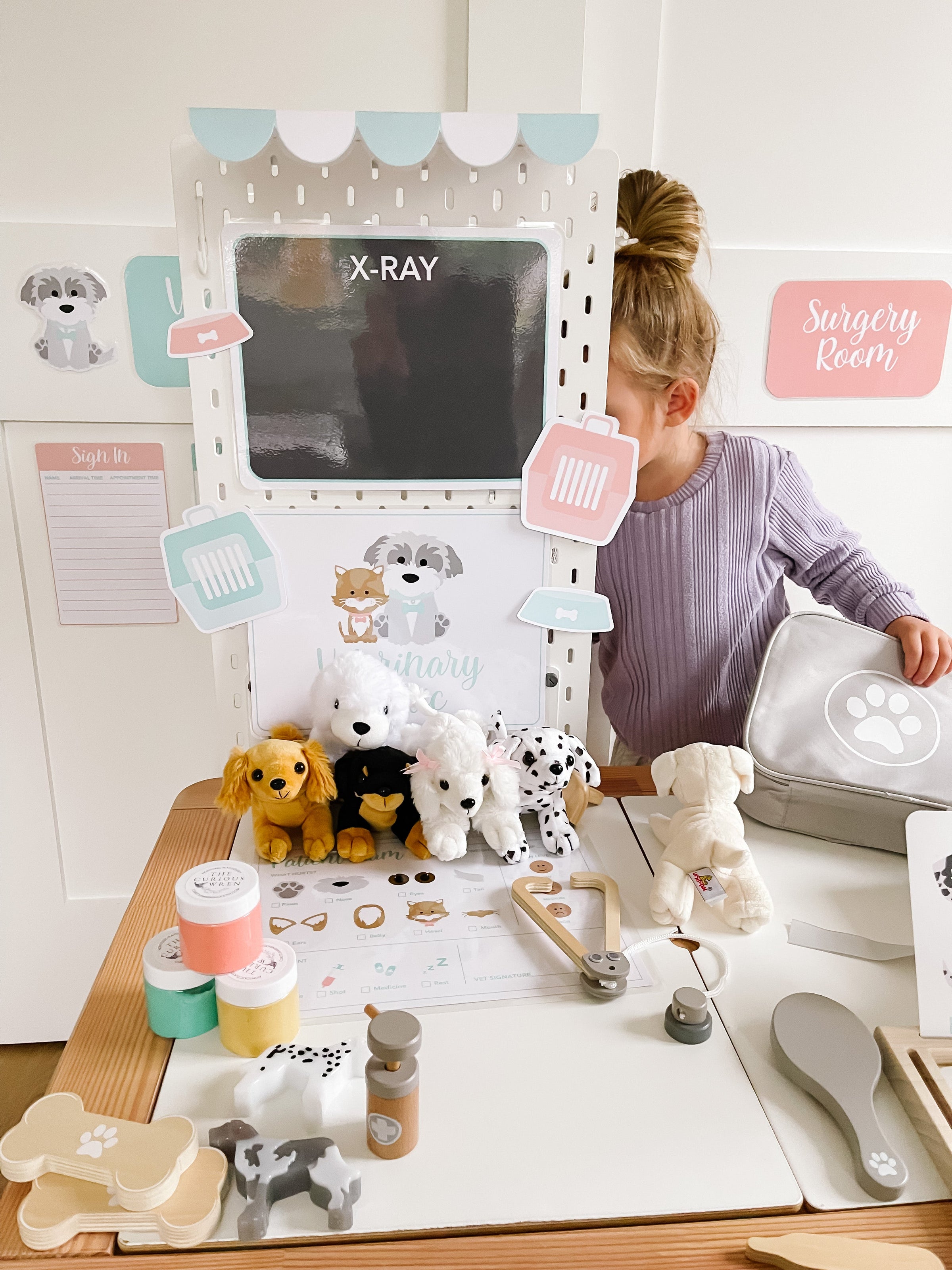 Vet Clinic Dramatic Play