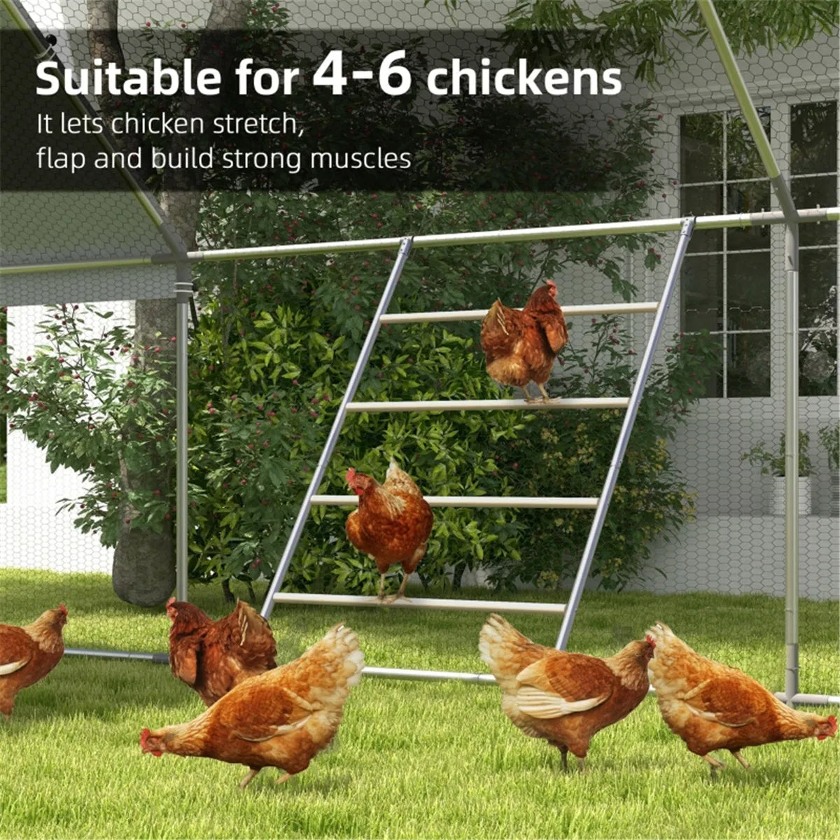 Chicken Wood Toys Chicken Roost