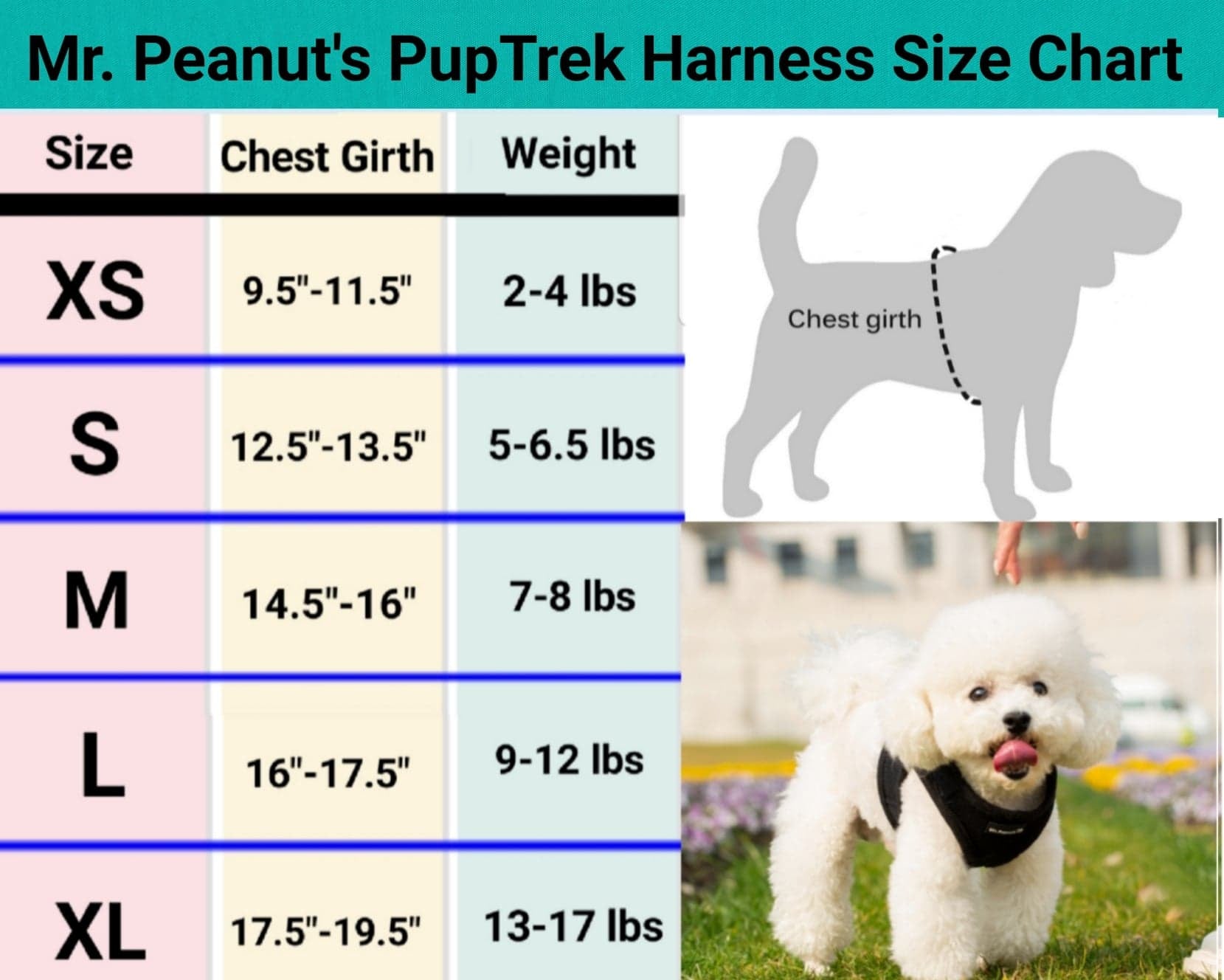 Mr. Peanut's PupTrek Soft Mesh Pet Harness with Matching Leash – Adjustable, Breathable, Choke-Free - BIG FRENCHIES