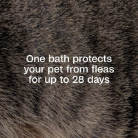 Adams Plus Flea & Tick Shampoo with Precor IGR for Dogs & Cats 12 oz.
