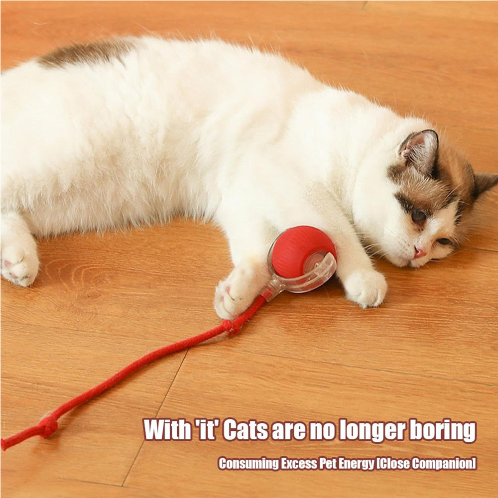 Interactive Rolling Cat Ball