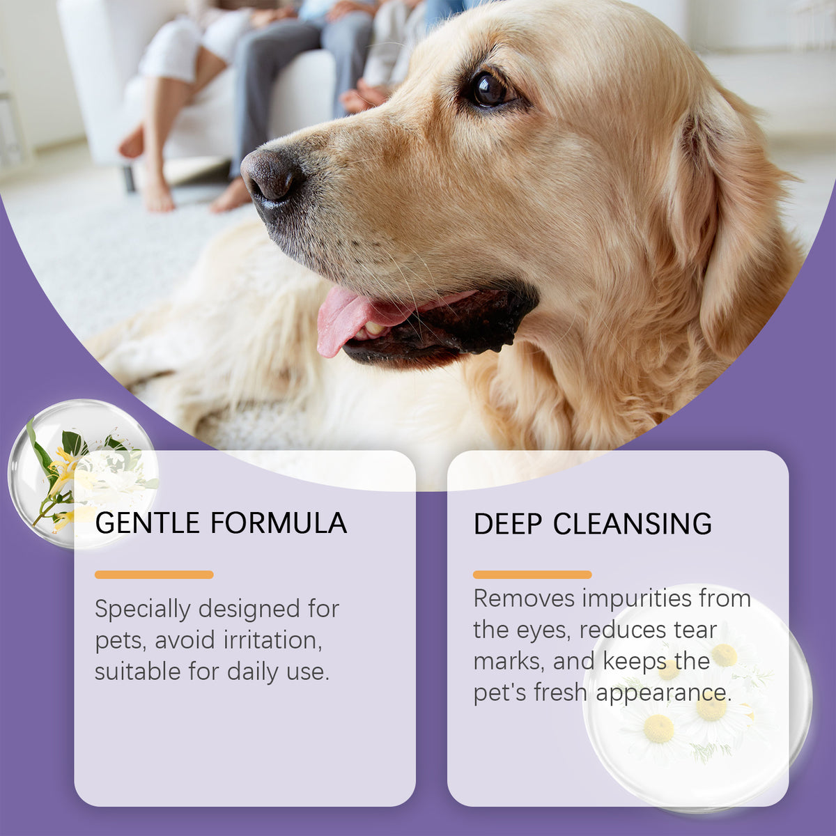 Pet Eye Rinse For Dogs & Cats, Gentle Eye Cleaner Solution With Hyaluronic Acid, Honeysuckle Extract & Taurine, Tear Sta