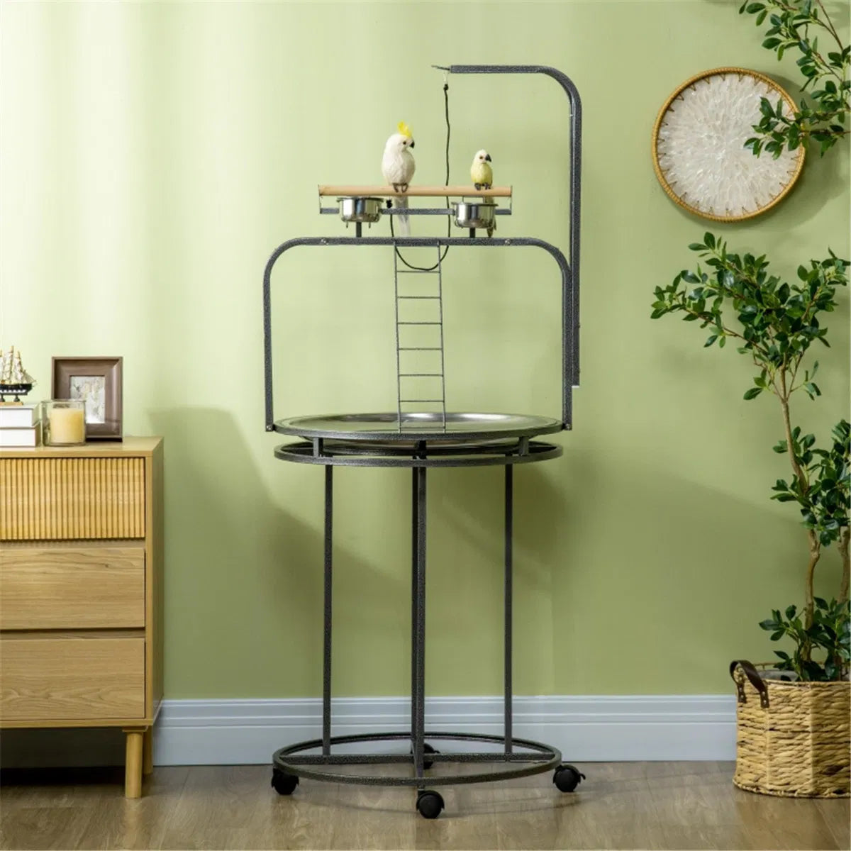 Parrot Stand /Parrot Perch