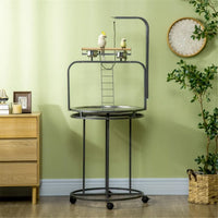 Parrot Stand /Parrot Perch