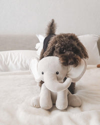 Ella Plushie