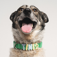 Waterproof Dog Collar - BIG FRENCHIES