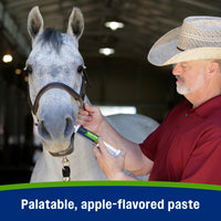 Farnam Apple Elite Electrolyte Paste for Horses Hydration Support Apple Flavor 60 cc