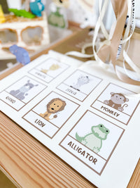 Safari Adventure Dramatic Play Kit