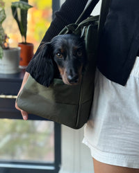 Olive Green Pet Tote Bag - BIG FRENCHIES