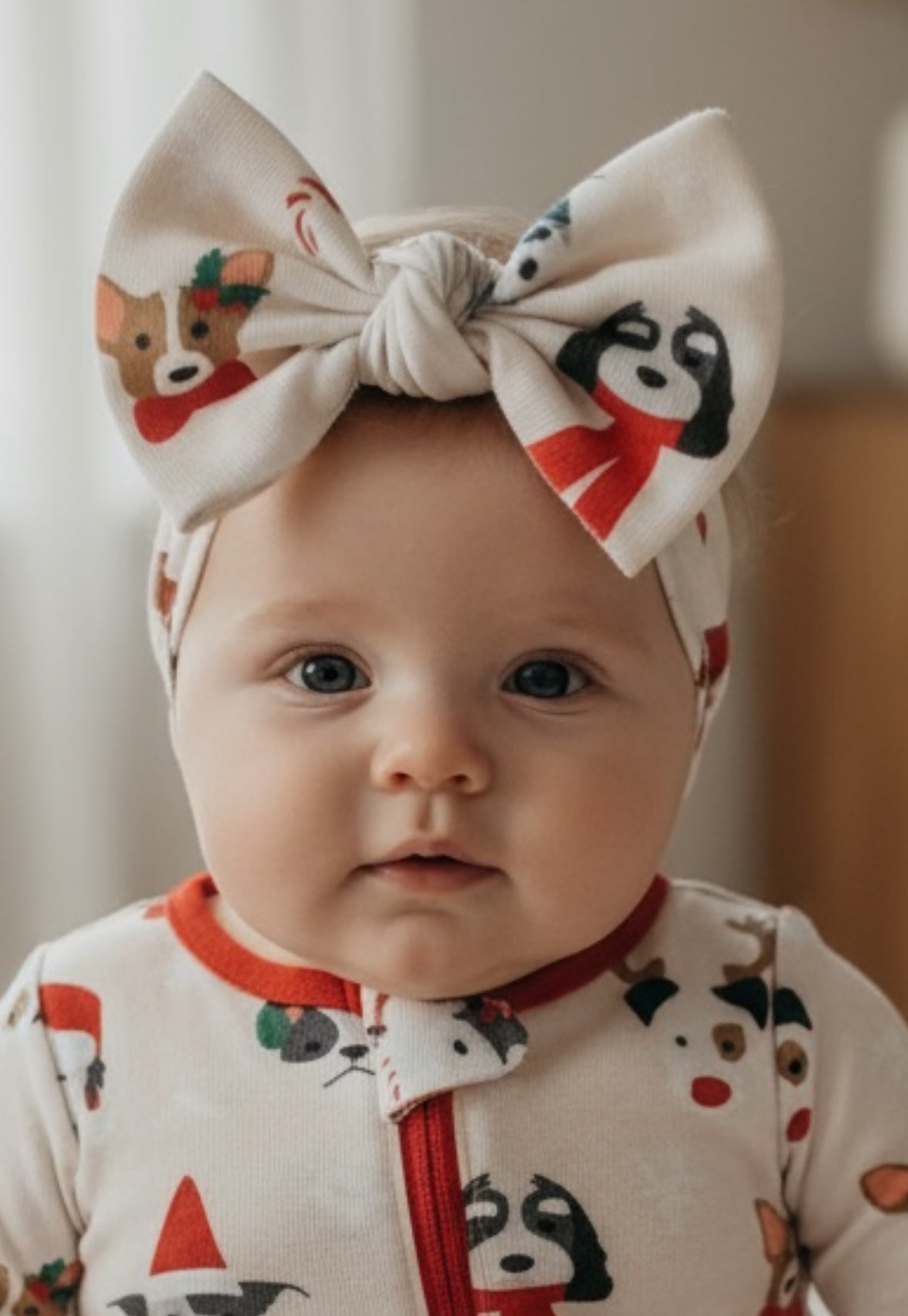 Bark The Halls (Bow Headband) - BIG FRENCHIES