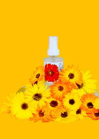 Calendula Face + Body Mist - BIG FRENCHIES