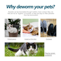 Pet Anti-Flea Tick Agent, External Deworming Skin Cleaning Tick Drops For Cats And Dogs