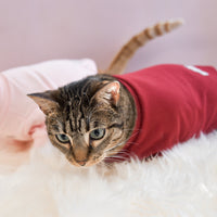 “Spoiled” Mock Neck Shirt - Lucky in Love