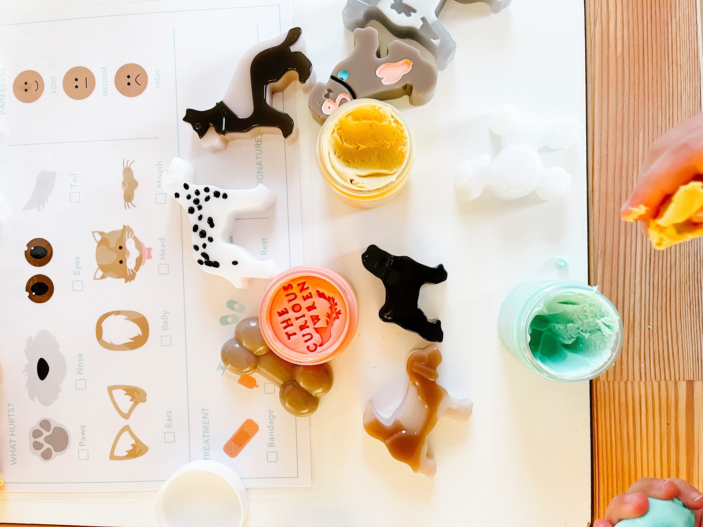 Vet Clinic Dramatic Play