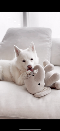 Ella Plushie