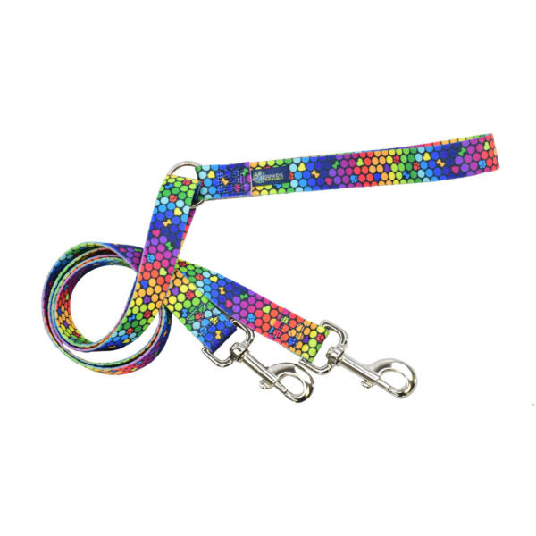 ROY G BIV Double Connection Leash – EarthStyle-Pet Collars & Leashes-BIG FRENCHIES-2 Hounds Design