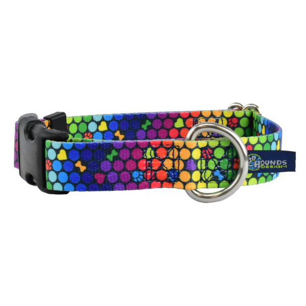 ROY G BIV Dog Collar – EarthStyle-Pet Collars & Leashes-BIG FRENCHIES-2 Hounds Design