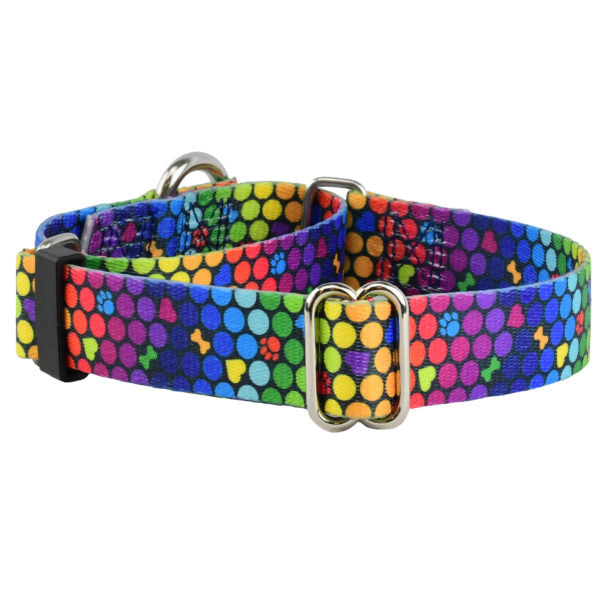 ROY G BIV Martingale Dog Collar – EarthStyle-Pet Collars & Leashes-BIG FRENCHIES-2 Hounds Design