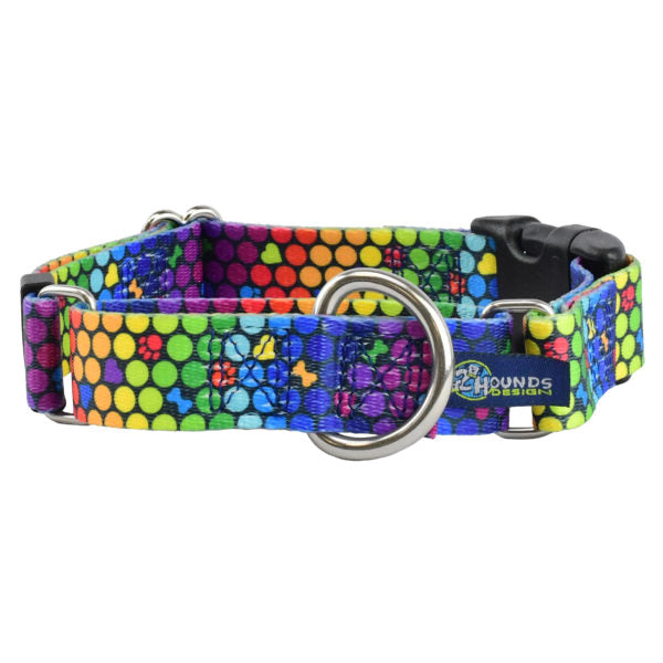 ROY G BIV Buckle Martingale Dog Collar – EarthStyle-Pet Collars & Leashes-BIG FRENCHIES-2 Hounds Design