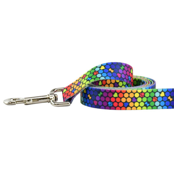 ROY G BIV Dog Leash – EarthStyle-Pet Collars & Leashes-BIG FRENCHIES-2 Hounds Design
