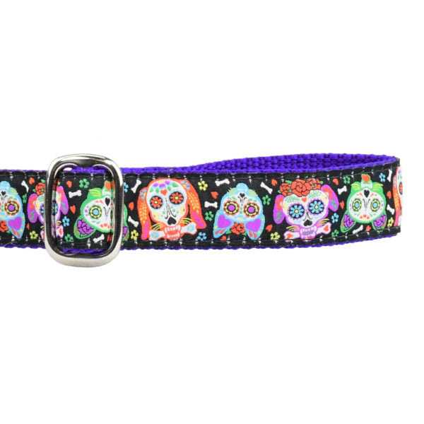 1″ XOLO – Sugar Skull Ribbon Dog Leash-Pet Collars & Leashes-BIG FRENCHIES-2 Hounds Design