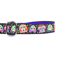 1″ XOLO – Sugar Skull Ribbon Dog Leash
