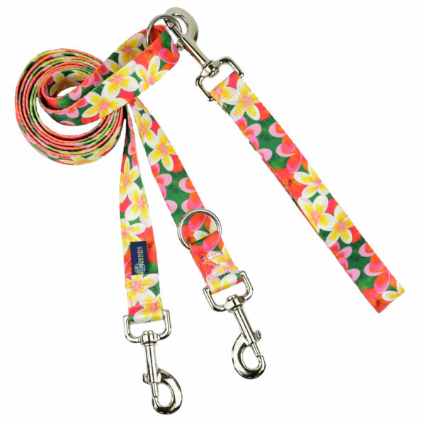 Aloha Double Connection Leash – EarthStyle-Pet Collars & Leashes-BIG FRENCHIES-2 Hounds Design