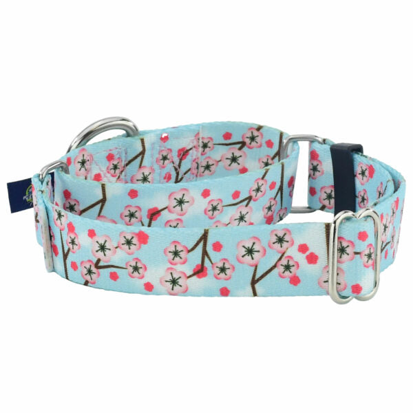 Cherry Blossoms Martingale Dog Collar – EarthStyle-Pet Collars & Leashes-BIG FRENCHIES-2 Hounds Design