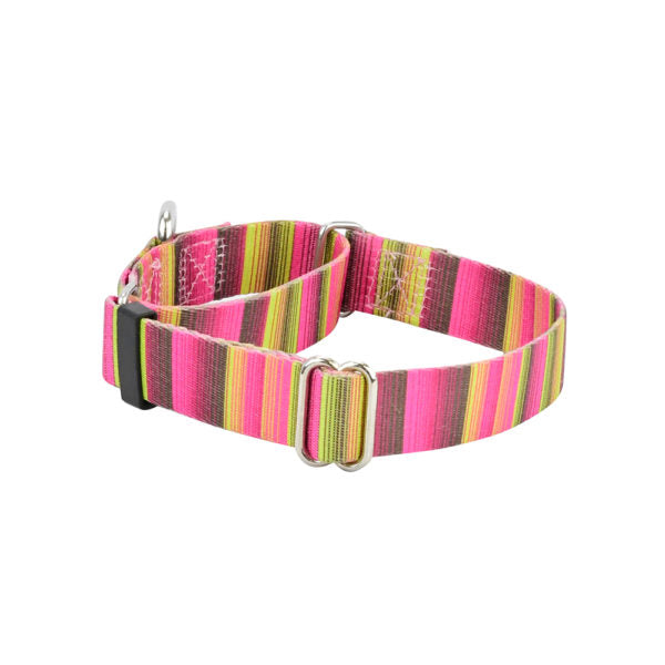 Bonnie Martingale Dog Collar – EarthStyle-Pet Collars & Leashes-BIG FRENCHIES-2 Hounds Design