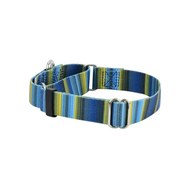 Clyde Martingale Dog Collar – EarthStyle-Pet Collars & Leashes-BIG FRENCHIES-2 Hounds Design
