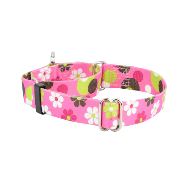 Daisy Dot Martingale Dog Collar – EarthStyle-Pet Collars & Leashes-BIG FRENCHIES-2 Hounds Design