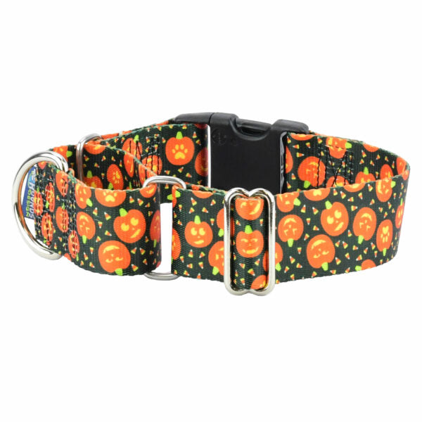 Jack O Lantern Buckle Martingale Dog Collar – EarthStyle-Pet Collars & Leashes-BIG FRENCHIES-2 Hounds Design