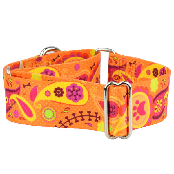 Orange Paisley Martingale Dog Collar – EarthStyle-Pet Collars & Leashes-BIG FRENCHIES-2 Hounds Design