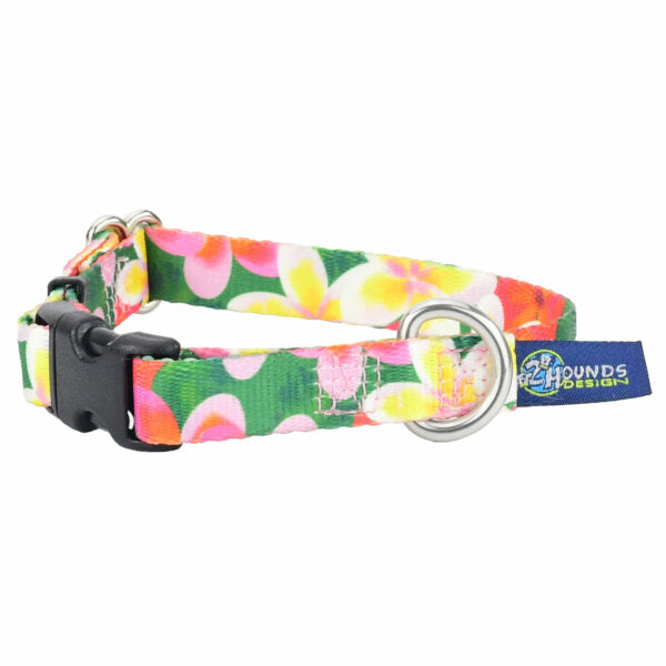 Aloha Dog Collar – EarthStyle-Pet Collars & Leashes-BIG FRENCHIES-2 Hounds Design