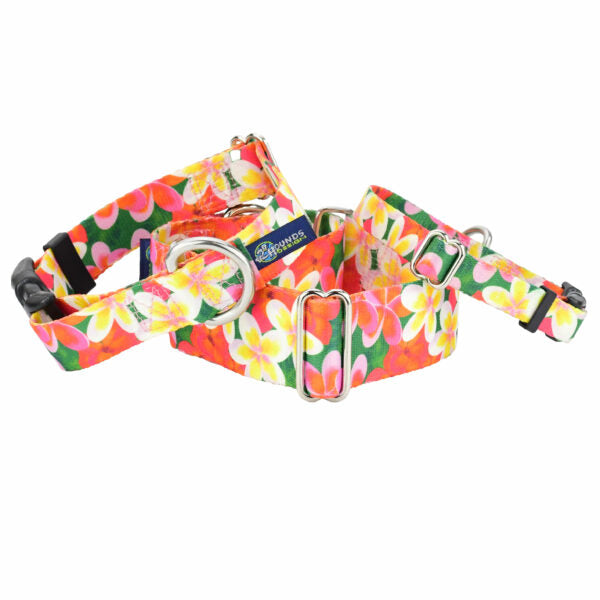 Aloha Buckle Martingale Dog Collar – EarthStyle-Pet Collars & Leashes-BIG FRENCHIES-2 Hounds Design