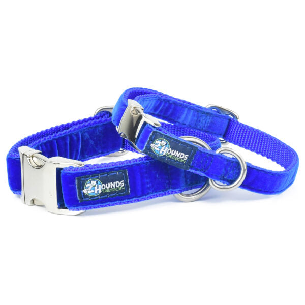 Royal Blue Velvet Essential Dog Collar-Pet Collars & Leashes-BIG FRENCHIES-2 Hounds Design