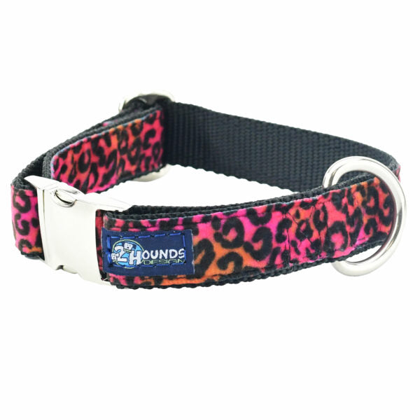 Wild Kitty Pink Velvet Essential Dog Collar-Pet Collars & Leashes-BIG FRENCHIES-2 Hounds Design
