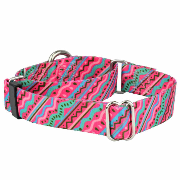 1980’s Martingale Dog Collar – EarthStyle-Pet Collars & Leashes-BIG FRENCHIES-2 Hounds Design