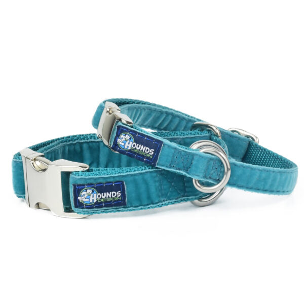 Teal Velvet Essential Buckle Martingale Dog Collar-Pet Collars & Leashes-BIG FRENCHIES-2 Hounds Design