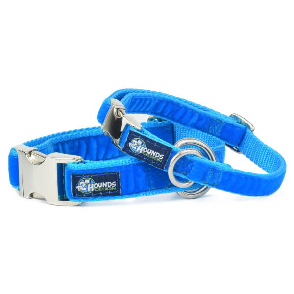 Venetian Blue Velvet Essential Martingale Dog Collar-Pet Collars & Leashes-BIG FRENCHIES-2 Hounds Design
